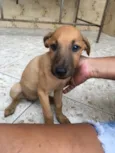 Princesa