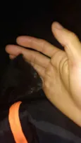 Sla 