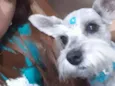 Mel 