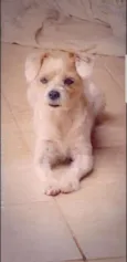 Tadeu