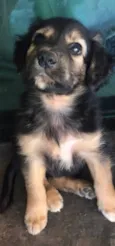 Marley