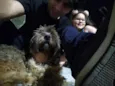 Chewie