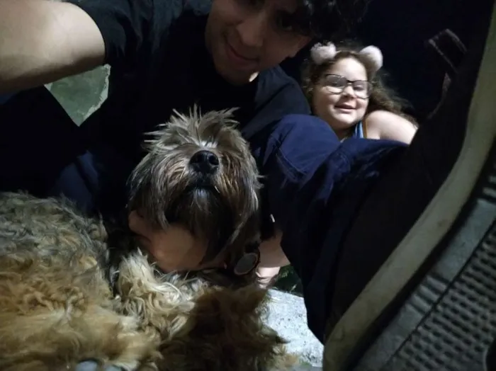 Cachorro ra a  idade  nome Chewie
