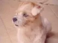 Tadeu