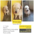 Príncipe