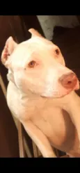 Nina
