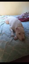 Nina