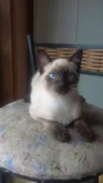 Kim