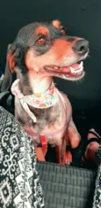 Frida