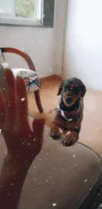 Frida