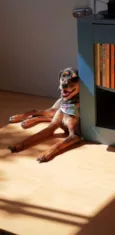 Frida