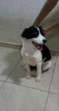 Sem nome