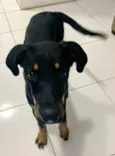 Megan
