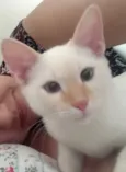 Yuki