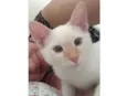 Yuki