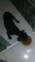 Sem nome