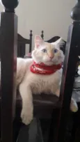 Hórus 