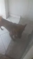 Mel