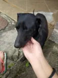 Indefinido