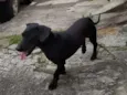 Indefinido
