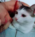 Luna, tom e Theo