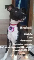Pretinha 