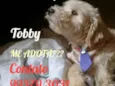 Tobby