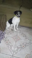 Fofa