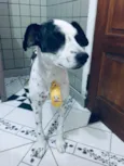 Betouvy 