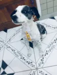 Betouvy 
