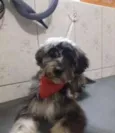 Frederico. Fred