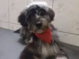 Frederico. Fred