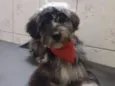 Frederico. Fred