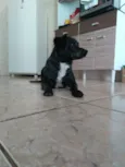 Nina 