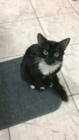 Maggie