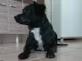Nina 