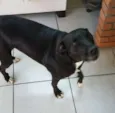 Neguinha