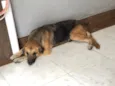 Não sei 