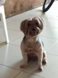 Nick