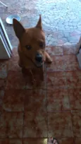 Lucky