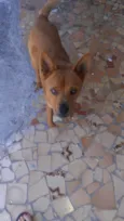 Lucky