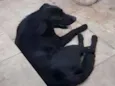 ?