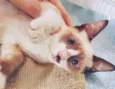 BERALDO MIX
