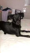 Princesa