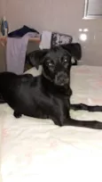 Princesa
