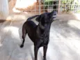 Marley