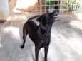 Marley
