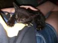 Luna e Sophie