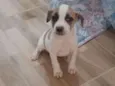 Nina