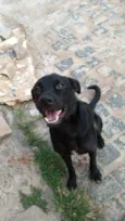 Zeus Mackall Soares
